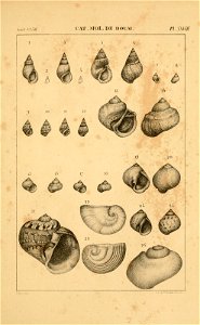 n462_w1150