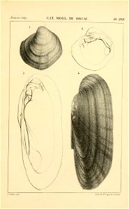 n520_w1150