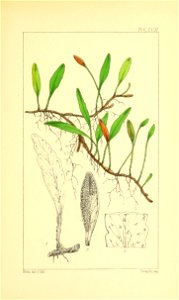 n390_w1150