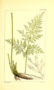n144_w1150
