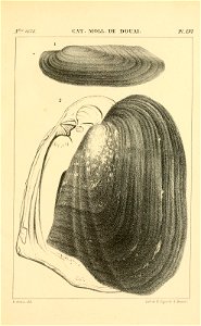 n518_w1150
