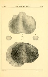 n488_w1150