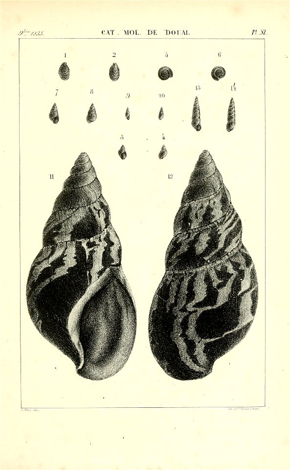 n428_w1150