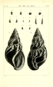 n428_w1150