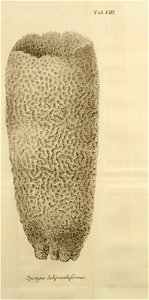 n494_w1150
