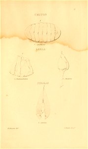 n278_w1150