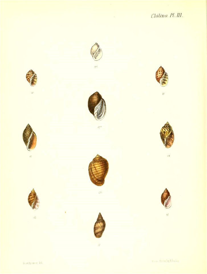 n583_w1150