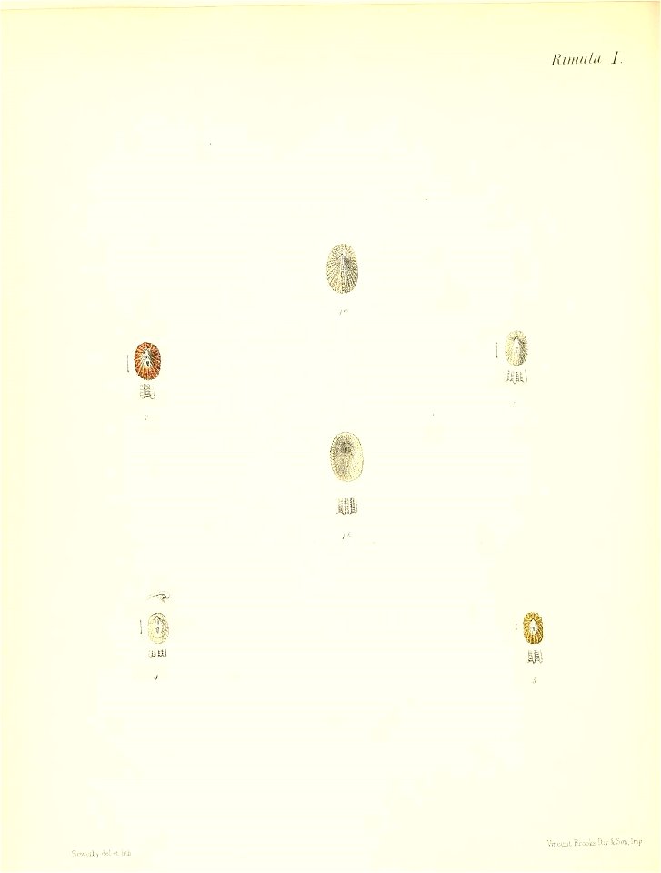 n347_w1150