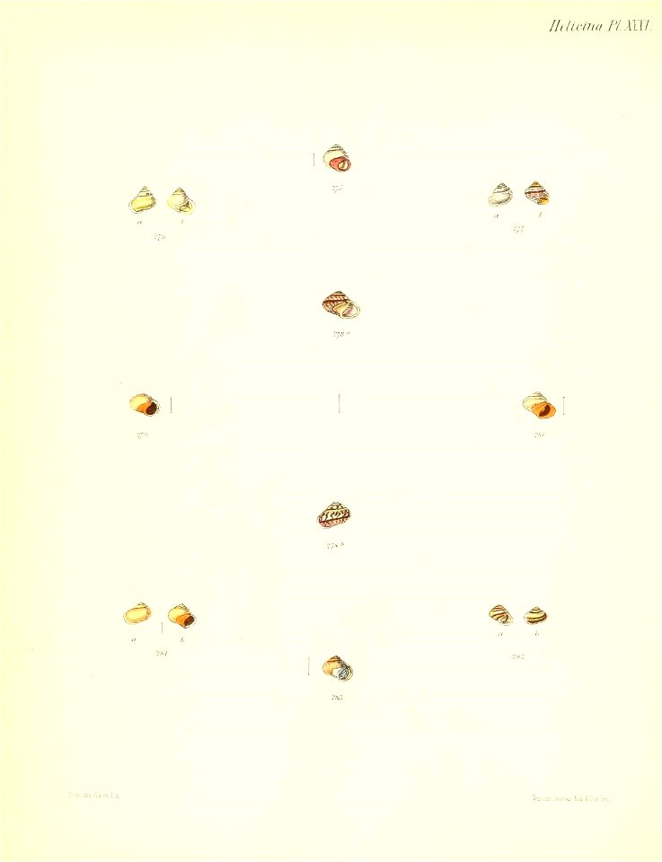 n131_w1150
