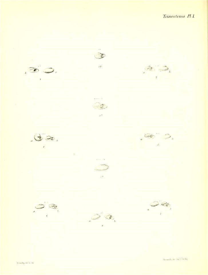 n505_w1150