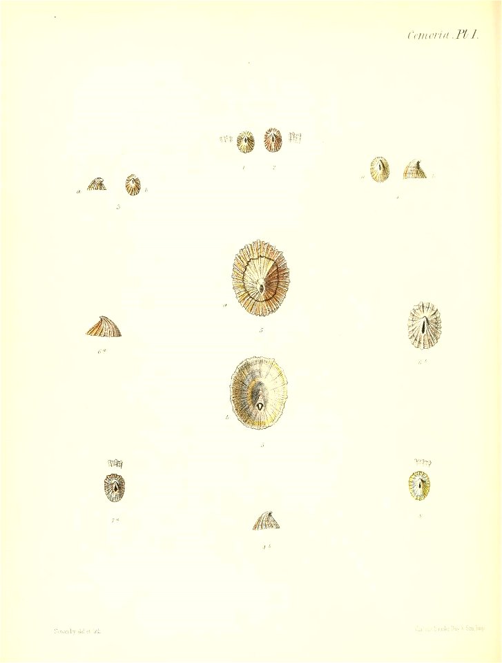 n341_w1150