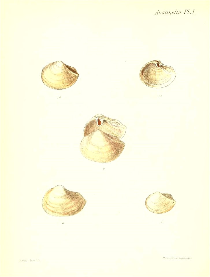 n269_w1150