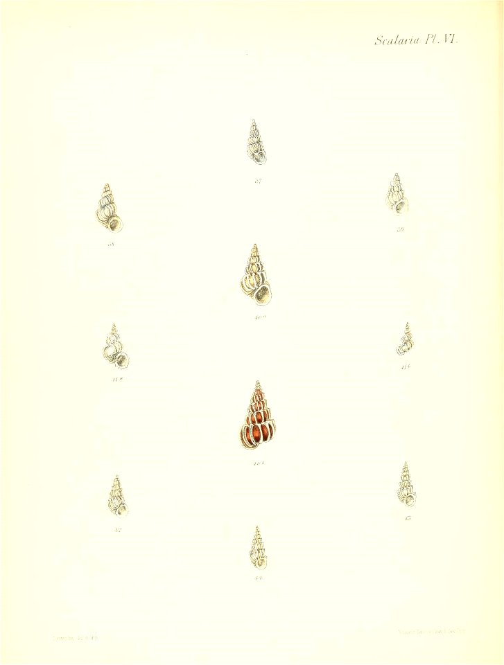 n199_w1150