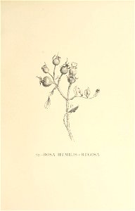 n392_w1150