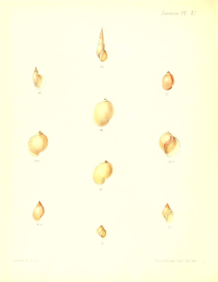 n477_w1150