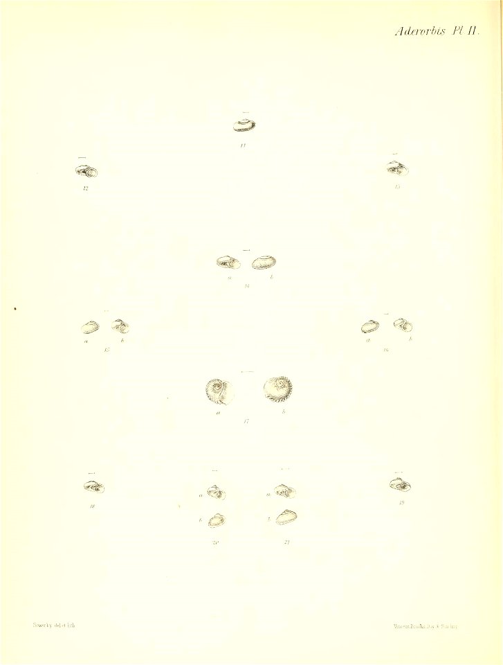 n499_w1150