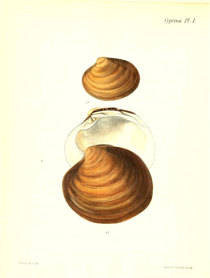 n263_w1150