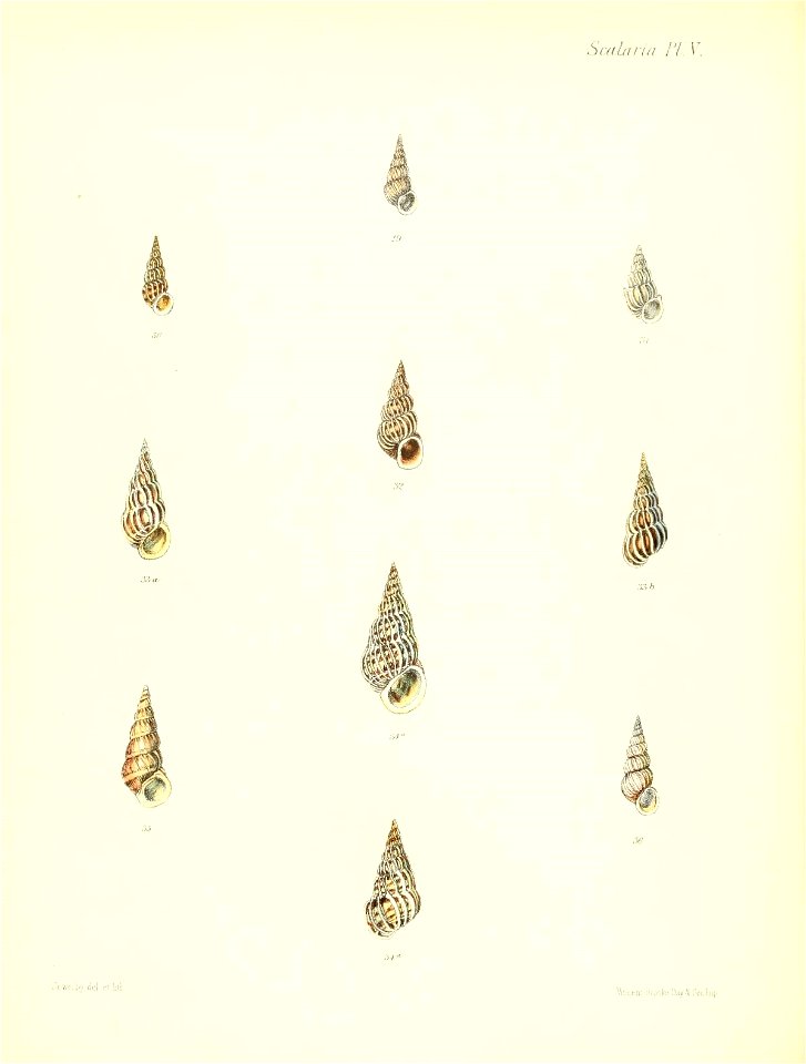 n195_w1150