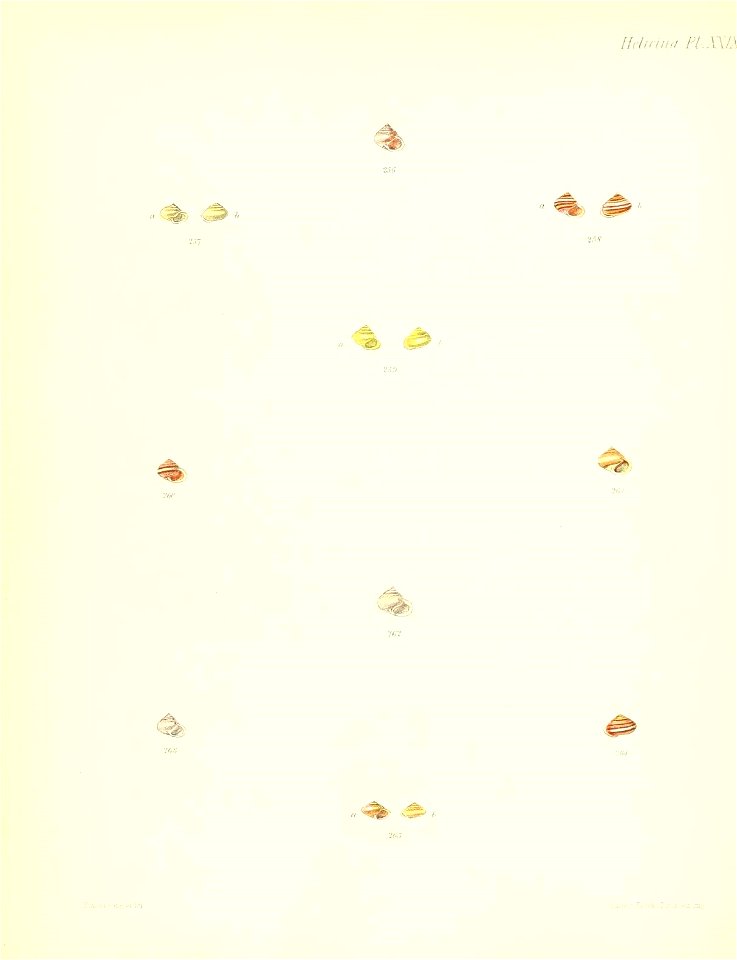 n123_w1150