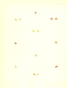 n123_w1150