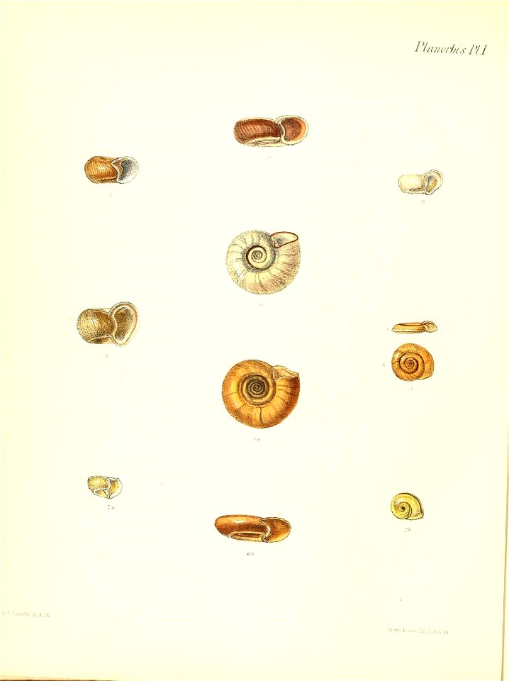 n577_w1150