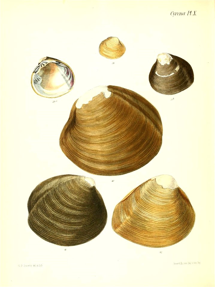 n509_w1150