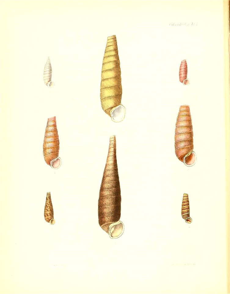 n109_w1150