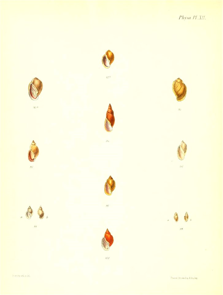 n633_w1150