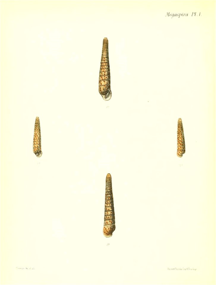 n569_w1150