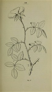 n116_w1150