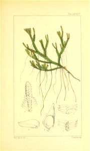 n362_w1150