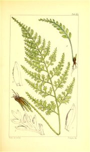 n176_w1150