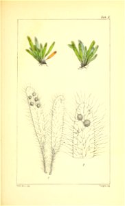 n56_w1150