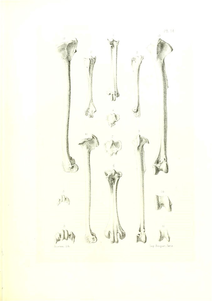 n182_w1150