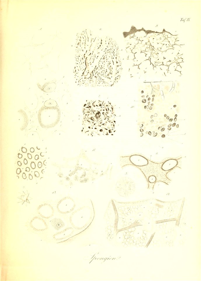 n114_w1150