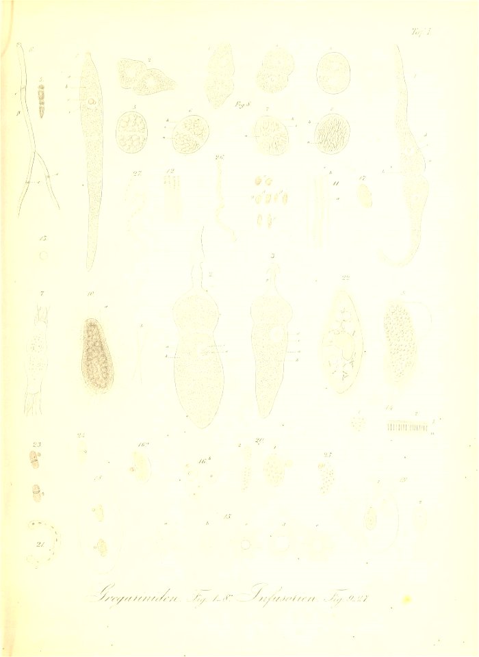 n98_w1150