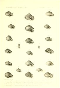 n98_w1150
