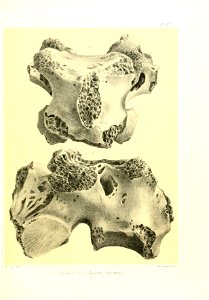 n224_w1150