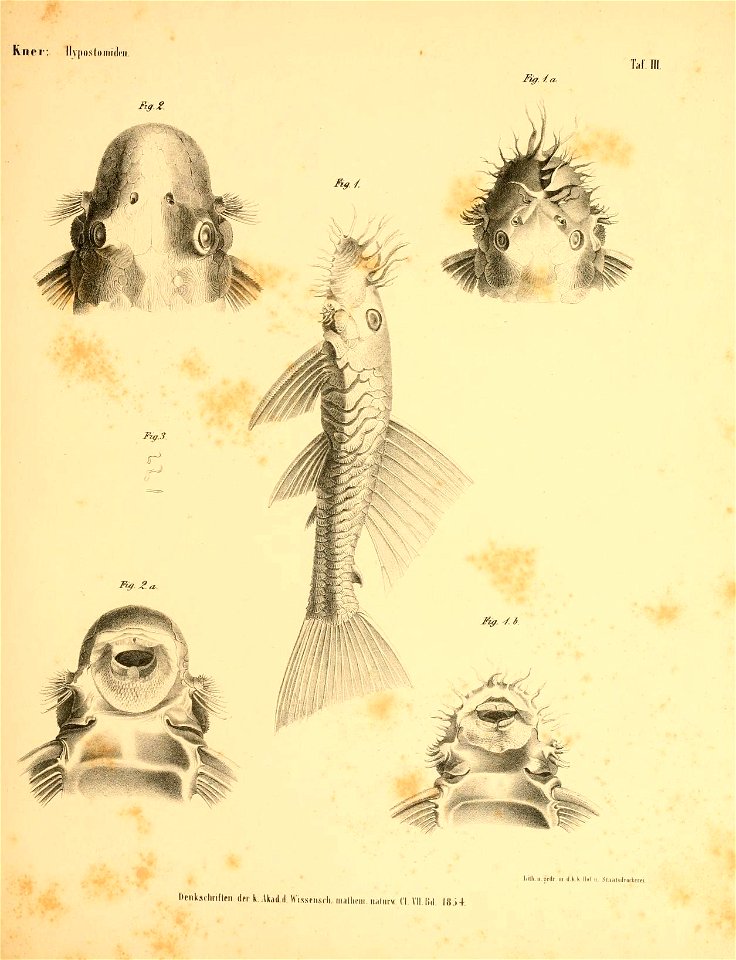 n44_w1150