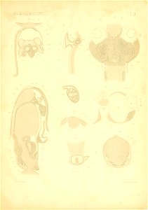 n120_w1150