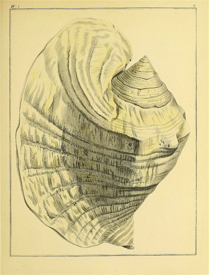 n126_w1150