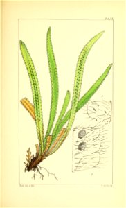 n40_w1150