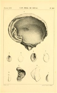 n496_w1150