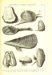 n524_w1150