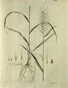 n108_w1150
