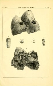 n546_w1150