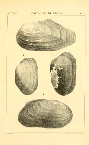 n516_w1150