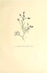 n144_w1150