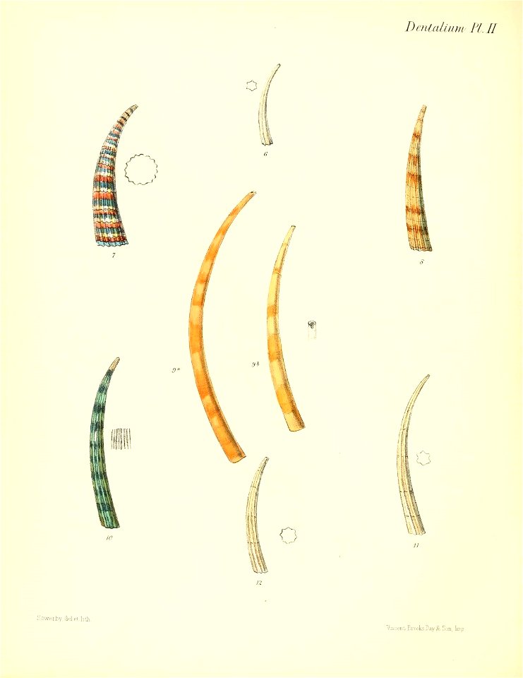n549_w1150