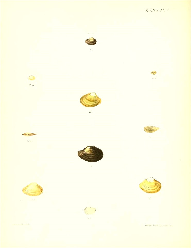 n273_w1150